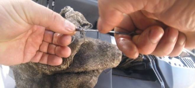 Как проверить масло в МКПП