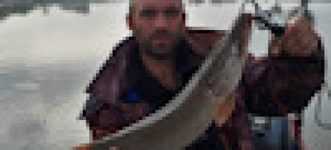 ASR — что это такое