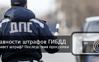 Срок годности штрафов ГИБДД