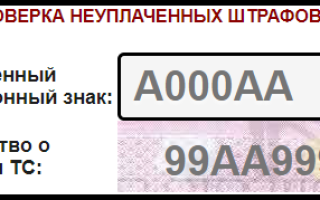 Как проверить штрафы по номеру автомобиля