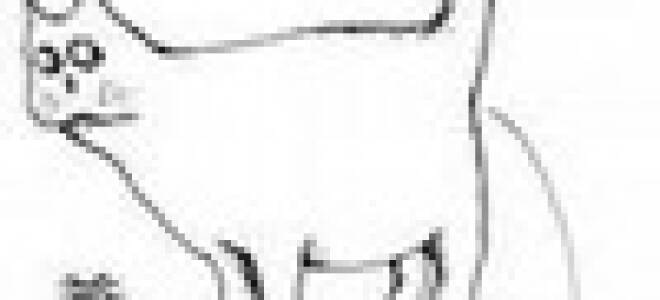 Привычки водителя, убивающие машину